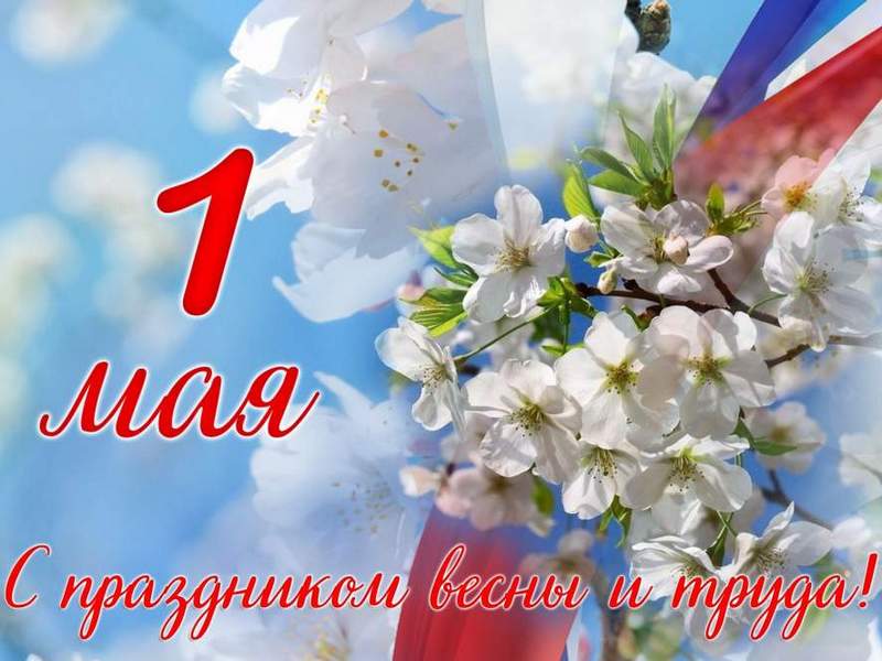 И. о. Мэра Вологды Андрей Накрошаев поздравляет вологжан с Праздником Весны и Труда.