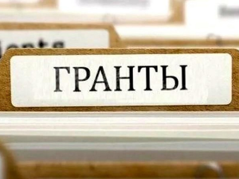 Получить грант до 1 млн рублей на реализацию экологических проектов могут предприниматели Вологды.