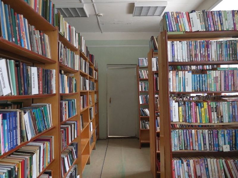 В Вологде идет подготовка к созданию модельной библиотеки «Книжный парк» в селе Молочное